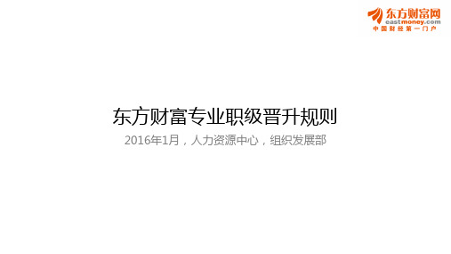[HR-A0001-2]专业职级晋升规则