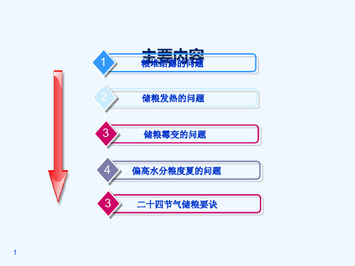 粮食保管常见问题处理