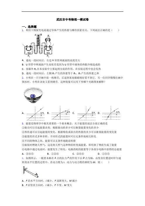 武汉市中考物理一模试卷