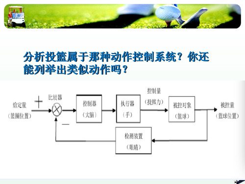 第五章运动中的中枢控制