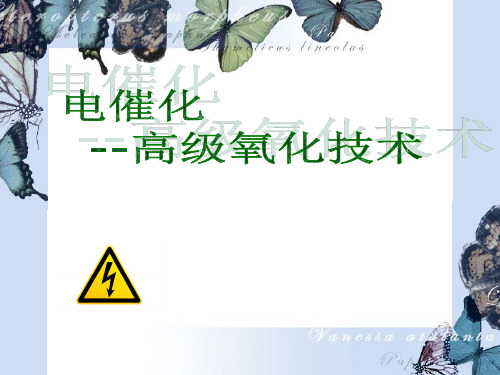 电催化