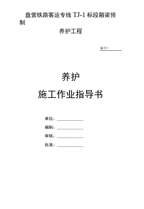 箱梁养护作业指导书终稿.docx
