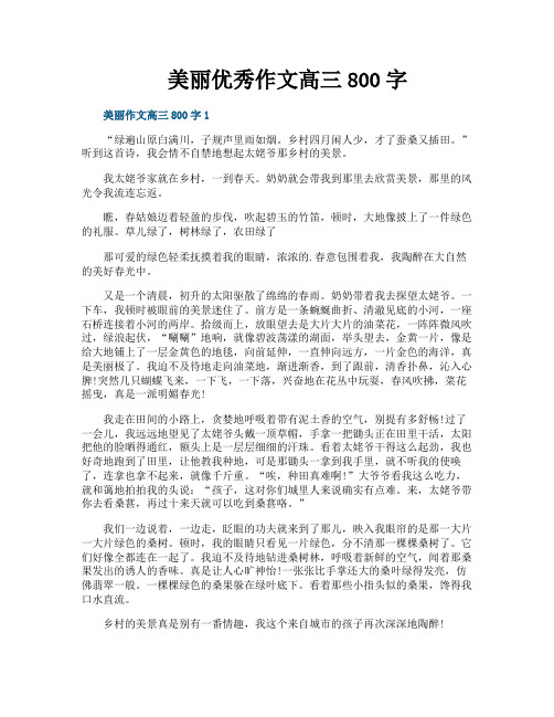 美丽优秀作文高三800字