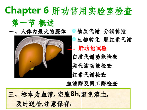 【学习课件】第六章_肝功能检查