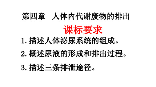 2020-2021学年济南版生物七年级下册第三单元第四章人体内代谢废物的排出 复习课件