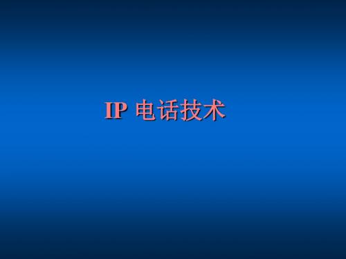 IP 电话技术