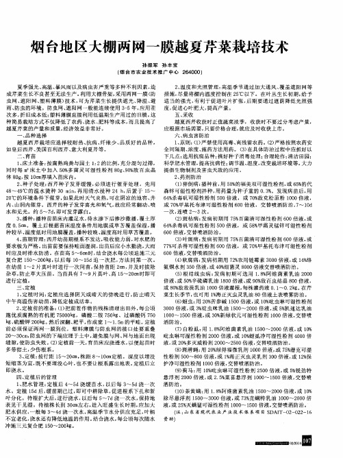 烟台地区大棚两网一膜越夏芹菜栽培技术