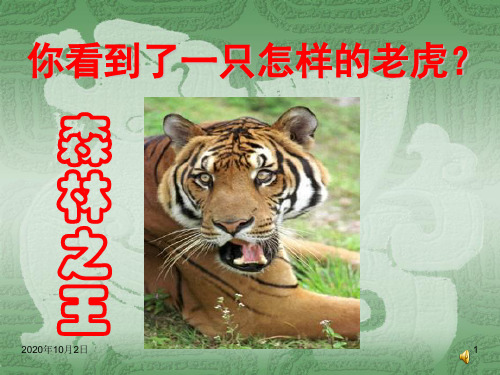 初一语文华南虎PPT课件