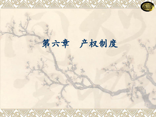 第六章 产权制度