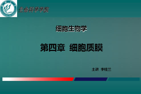 细胞生物学04细胞膜与细胞表面资料