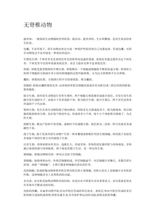 名词解释