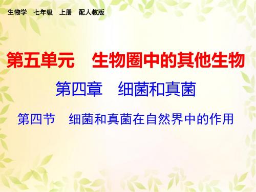 第四章 第四节 细菌和真菌在自然界中的作用