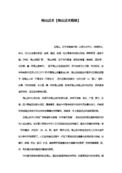 梅山武术【梅山武术概略】