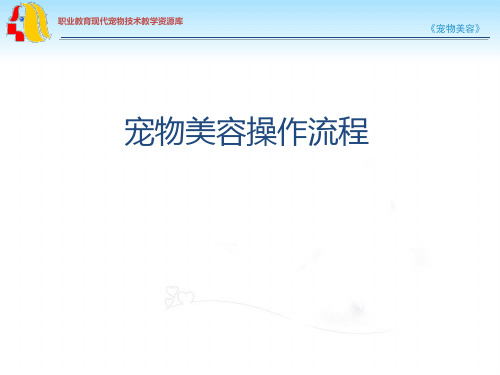 宠物美容操作流程.ppt