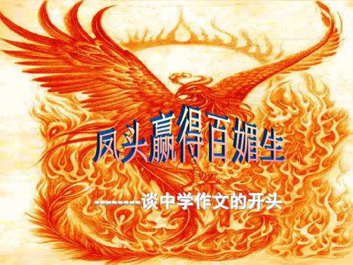 凤头赢得百媚生——作文开头写作指导