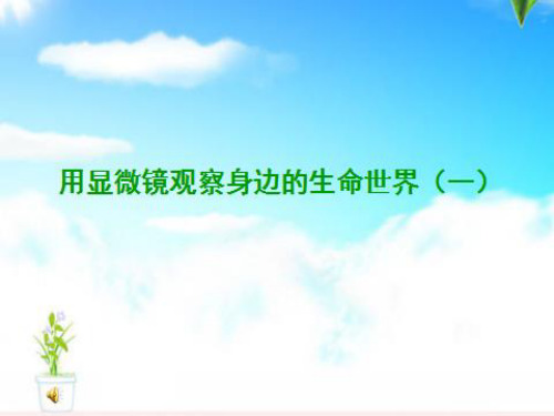 六年级下册科学课件-1.5用显微镜观察身边的生命世界教科版  (共25张PPT)