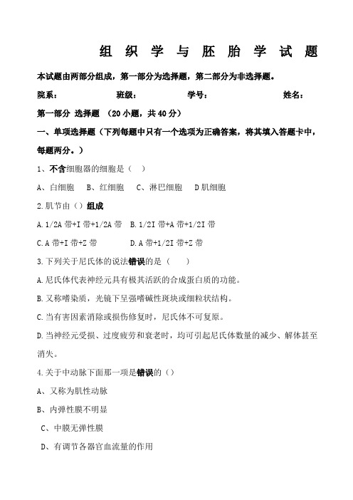 组织学与胚胎学期末考试试题