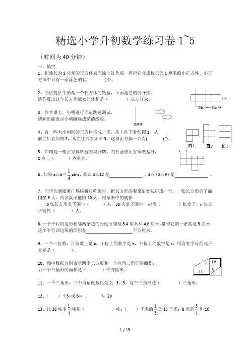 精选小学升初数学练习卷1~5