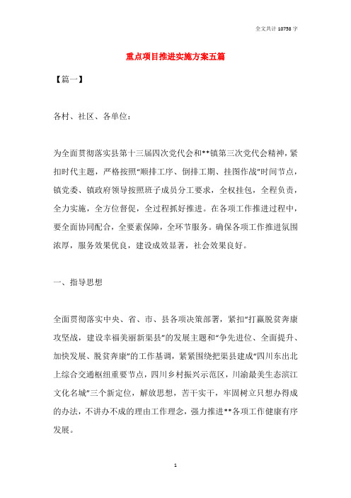 重点项目推进实施方案五篇