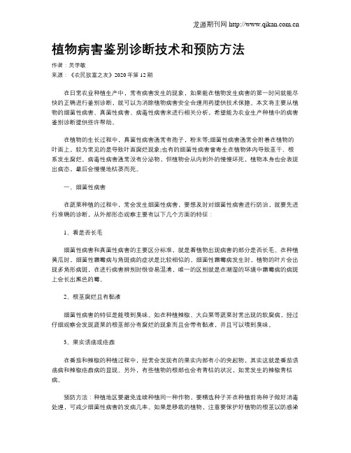 植物病害鉴别诊断技术和预防方法