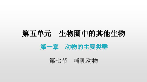 人教版生物八年级上册 第一章 第七节 哺乳动物 课件