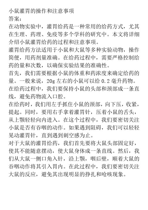小鼠灌胃的操作和注意事项