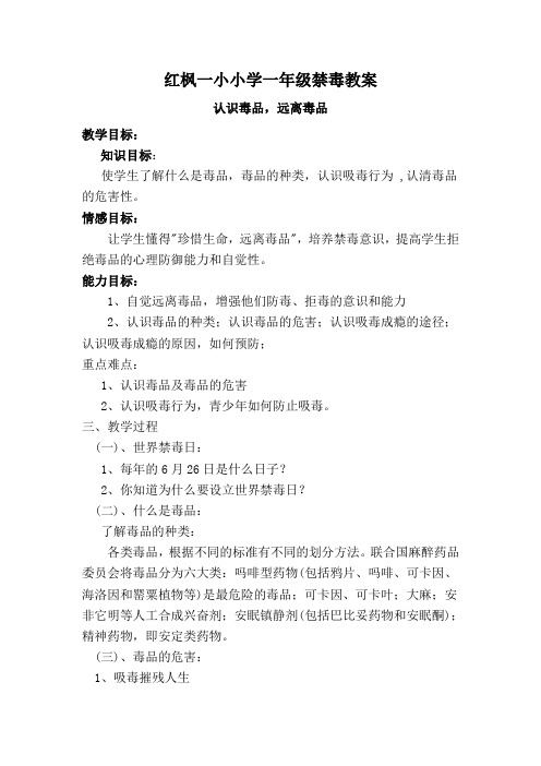 红枫小学一年级(4)班禁毒教案