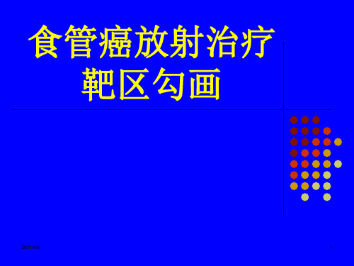 食管癌放射治疗靶区勾画-文档资料