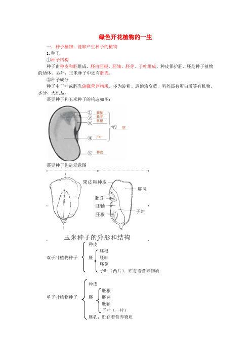 2017年中考生物复习 绿色开花植物的一生知识点总结 新人教版