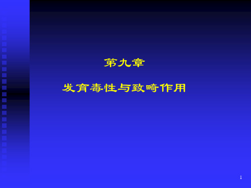 发育毒性与致畸作用