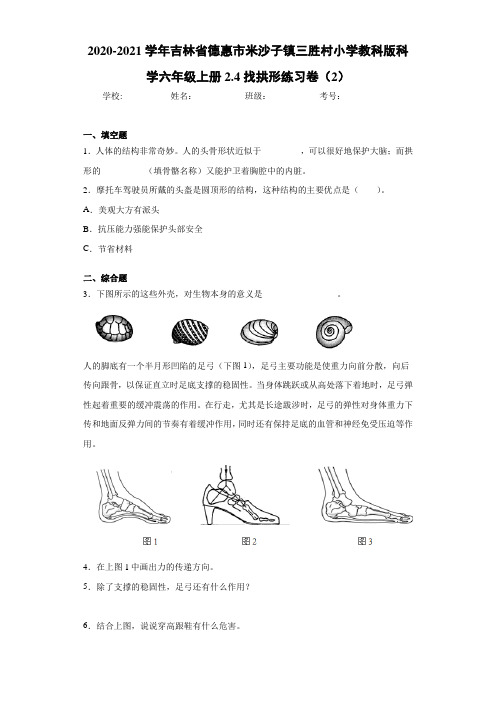 小学教科版科学六年级上册2.4找拱形练习卷(2)