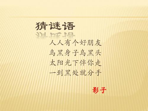 1 太阳和影子_苏教版,五年级,上册,科学,PPT,课件,上课,PPT