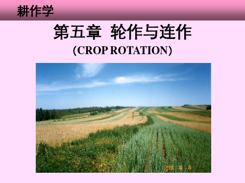 第五章轮作与连作