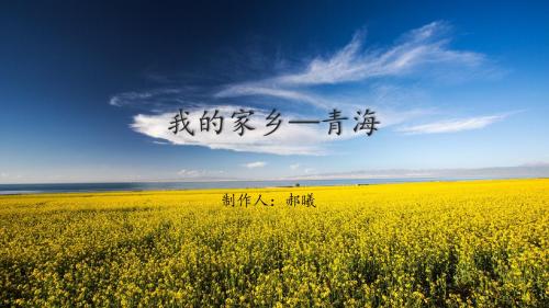 青海
