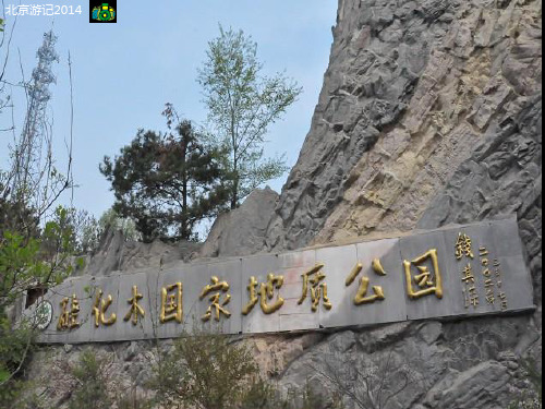 延庆硅化木国家地质公园