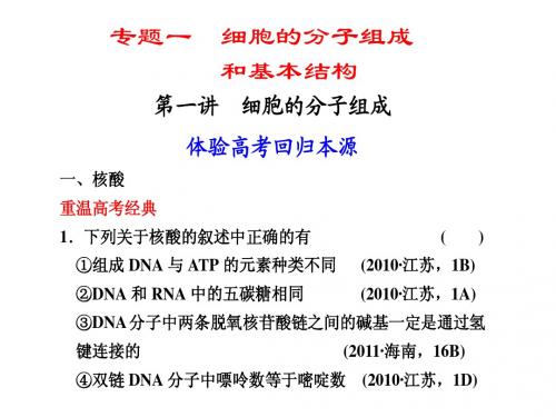 专题一 细胞的分子组成和基本结构1