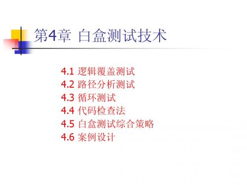 白盒软件测试