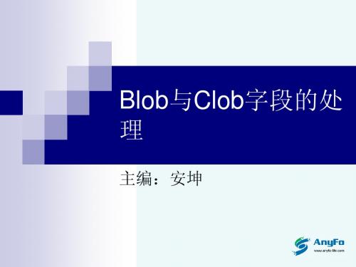 第六章 JDBC - Blob与Clob字段的处理