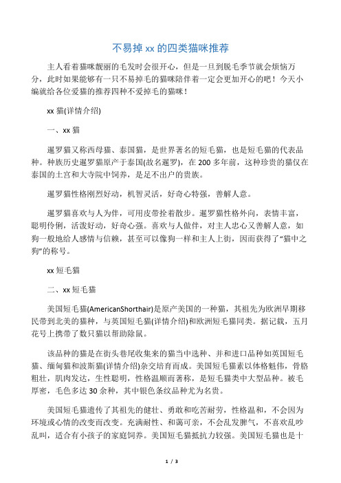 不易掉毛的四类猫咪推荐