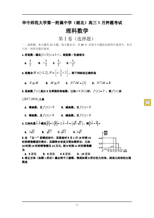 湖北省华中师范大学第一附属中学高三题考试数学(理)PDF