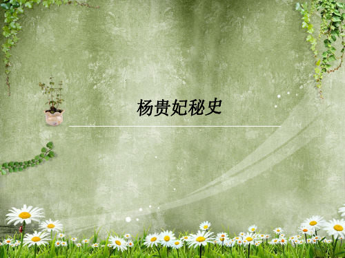 杨贵妃秘史