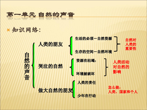 中考政治复习八下第一单元