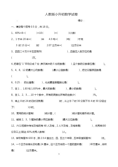 2018人教版小升初数学试卷及答案