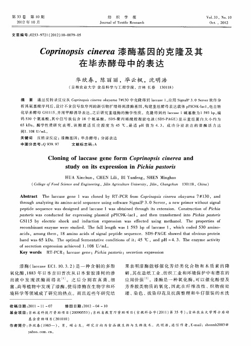 Coprinopsis cinerea漆酶基因的克隆及其在毕赤酵母中的表达