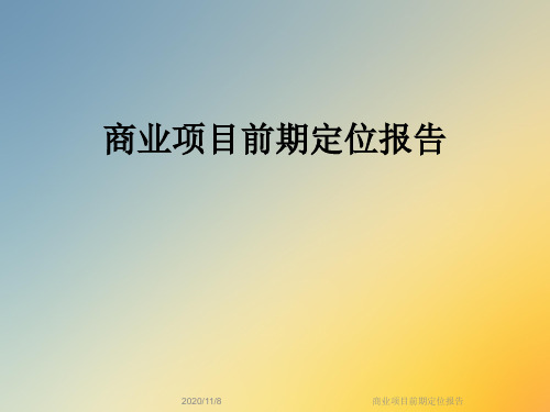 商业项目前期定位报告