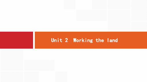人教版高考英语总复习课件必修4Unit 2 Working the land