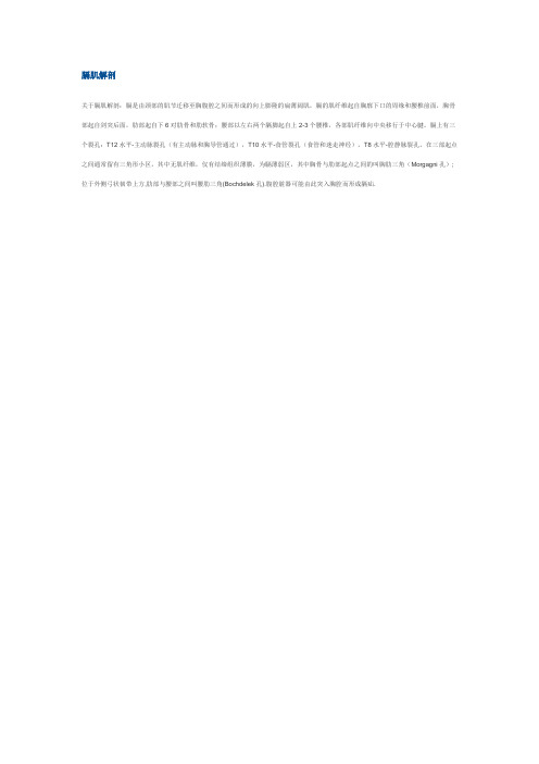 膈肌解剖