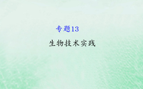 高考生物二轮复习专题十三生物技术实践课件