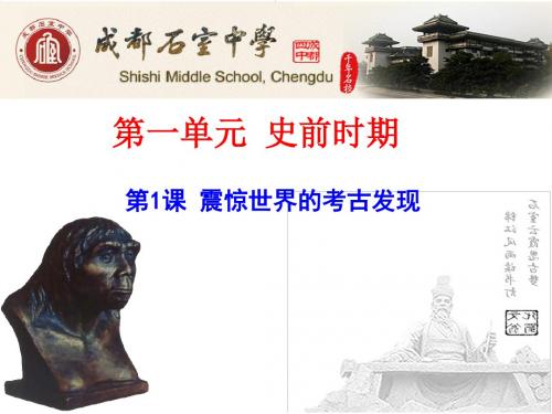 震惊世界的考古发现精选教学PPT 川教版