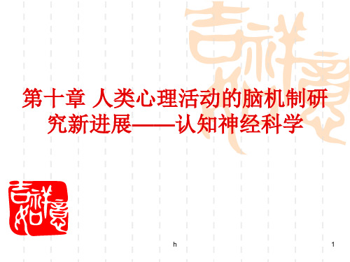 《认知神经科学》PPT课件